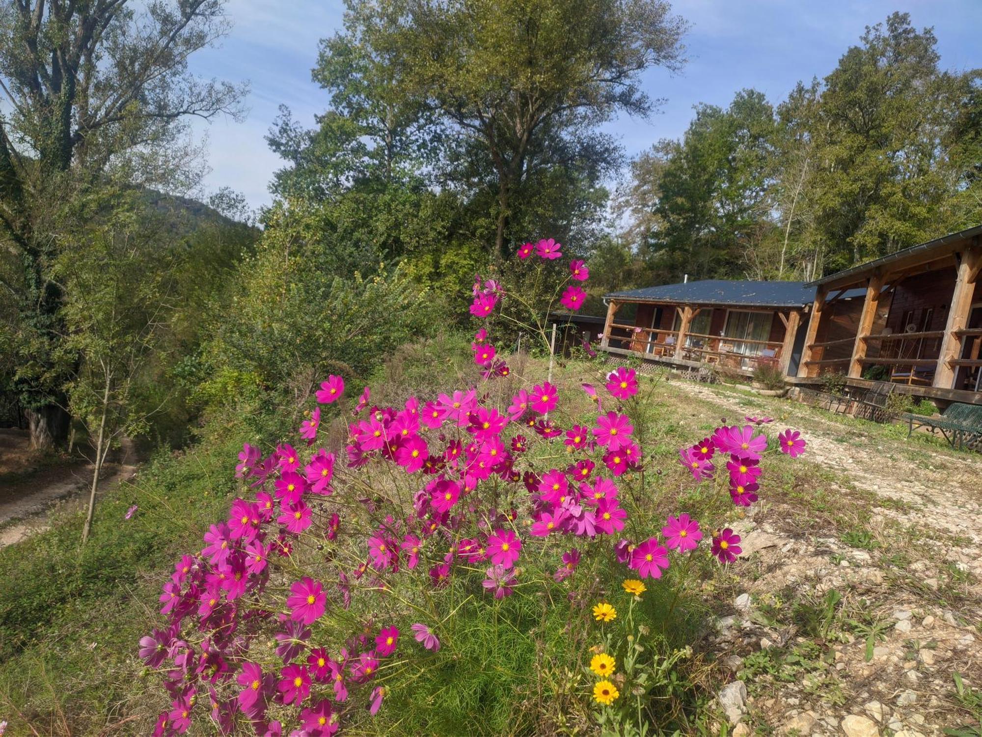 Source Nature Le Mas-d'Azil Phòng bức ảnh
